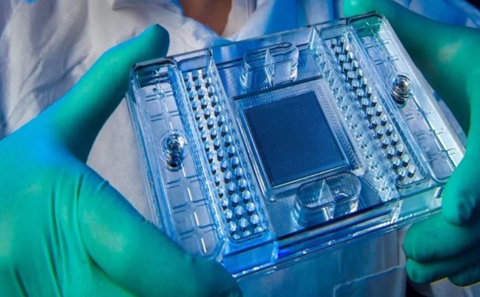 Vivosphere Pre-Clinical
